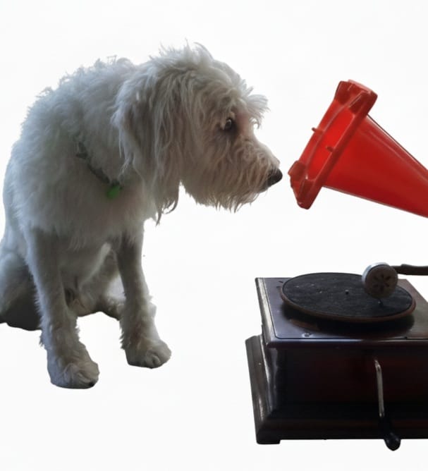 WhatsApp Image 2025-11-25 at 21.23.05